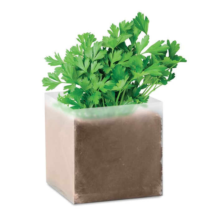 PARSELY thumb