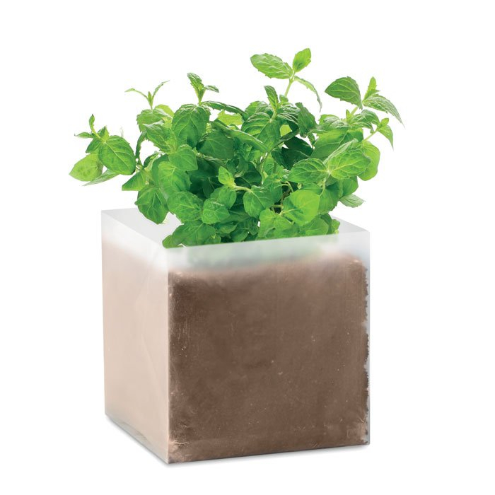 MINT thumb