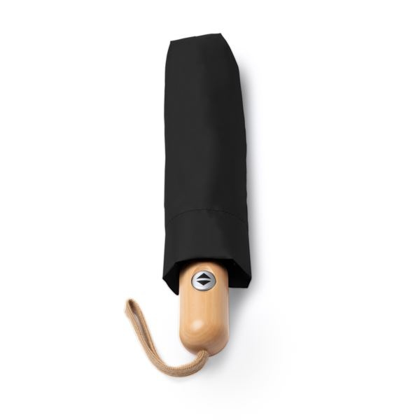 ALARIZ thumb