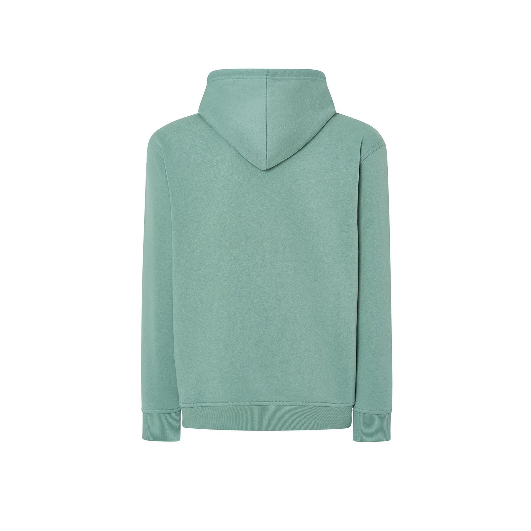 Sweat capuche 290
