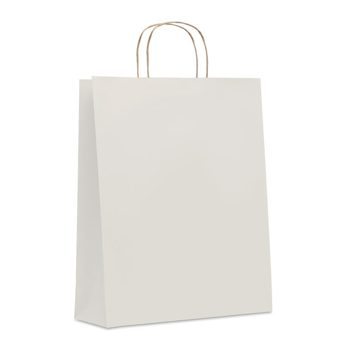 PAPER TONE L - Sac en papier grand format