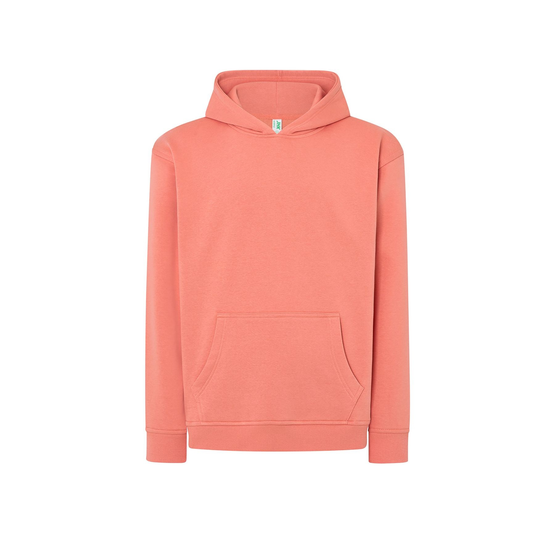 Sweat capuche 290