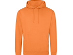 Sweat capuche