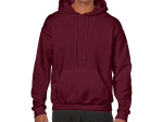 Sweat capuche 270