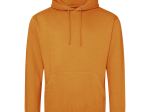 Sweat capuche