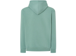 Sweat capuche 290