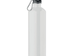 REBIG MOSS - Bouteille monocouche 750ml