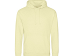 Sweat capuche
